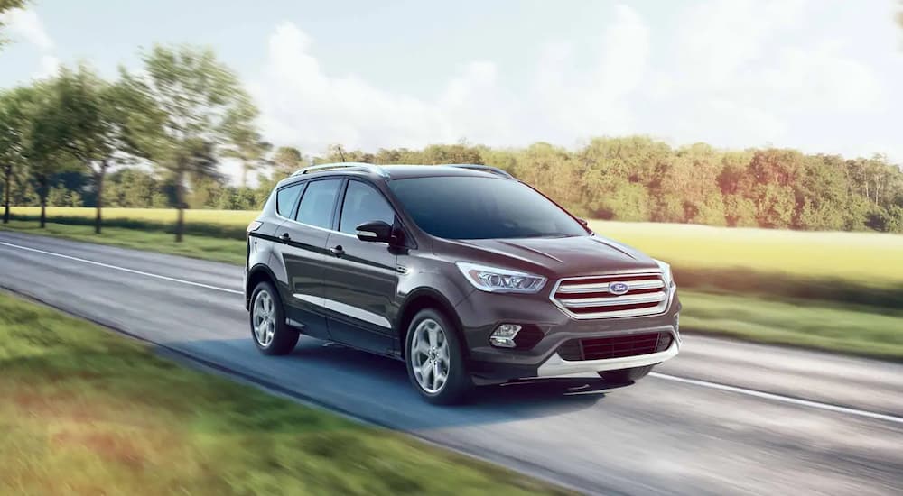 A grey 2019 Ford Escape is driving in front of a green field. Check out the 2019 models when comparing the 2017 Nissan Rogue vs the 2017 Ford Escape.