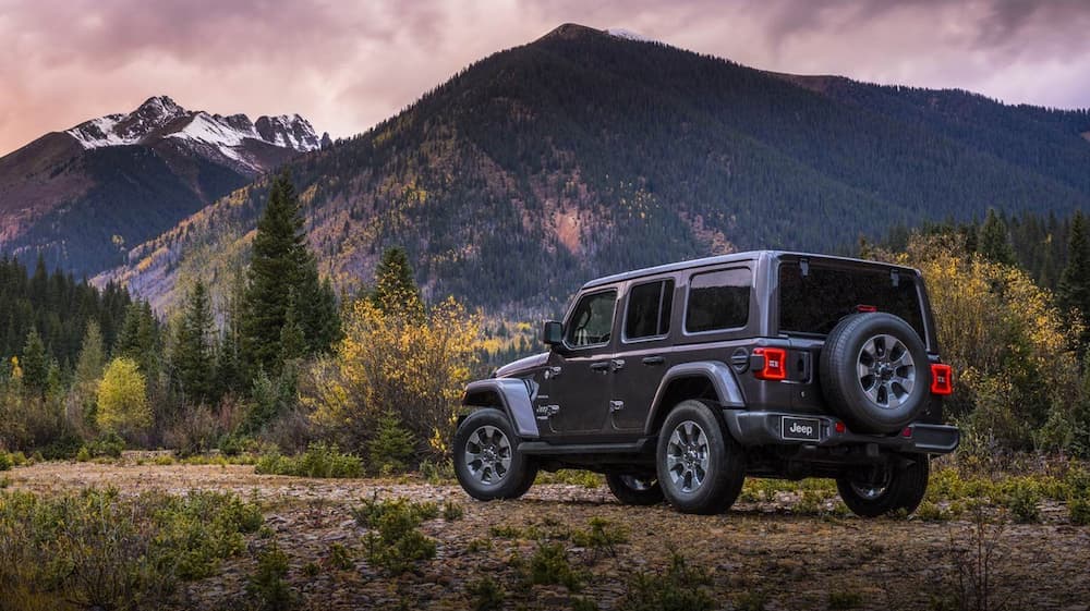 A grey 2019 Jeep Wrangler is parked off road looking at mountains.