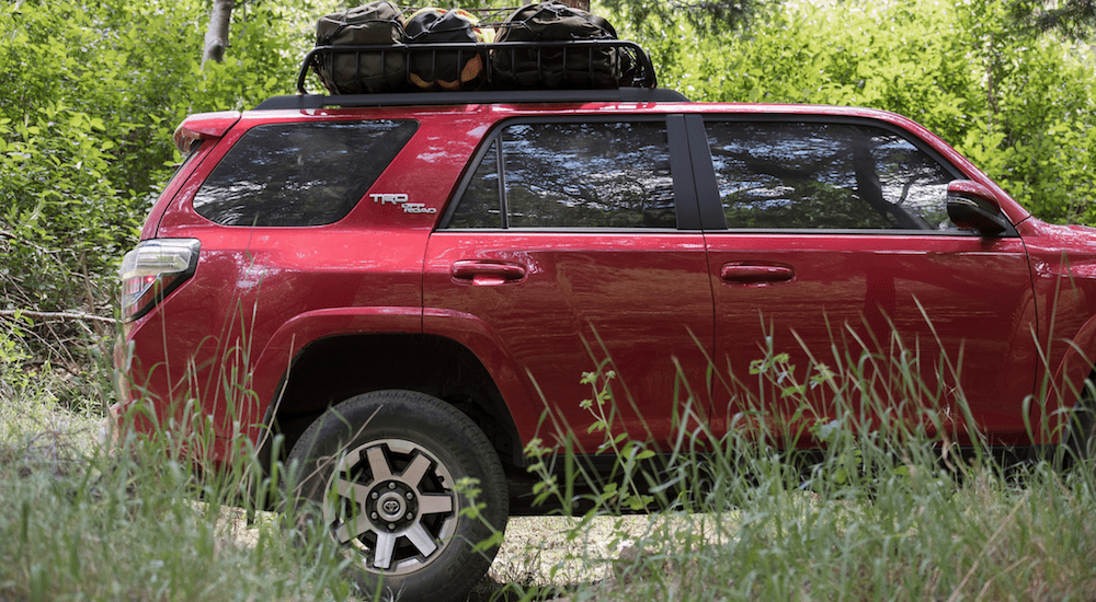 Red 2019 Toyota 4runner in the woods with luggage on roof rack