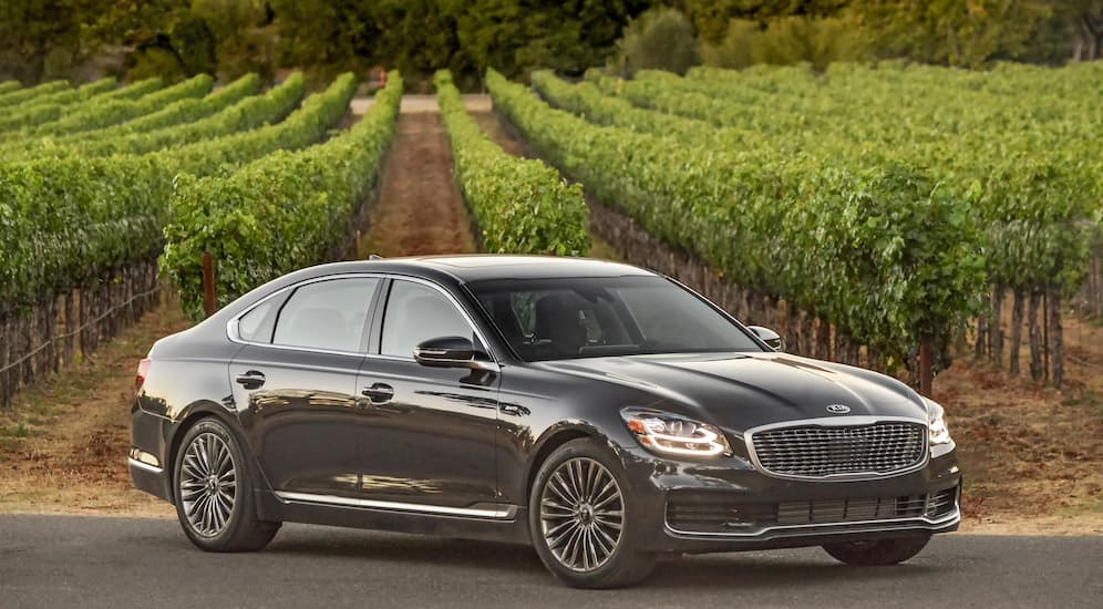A 2019 black K900, which could have Kia lease deals, is parked in front of a field.