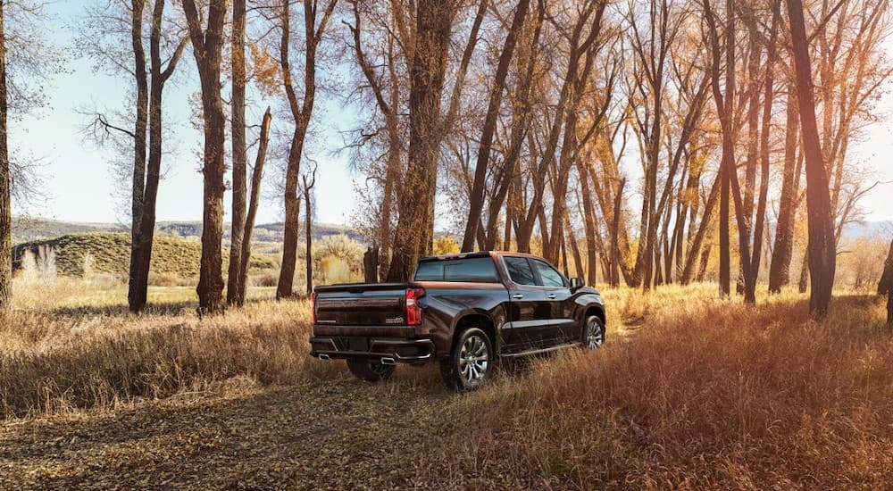 A black 2019 Chevy Silverado is in a field.