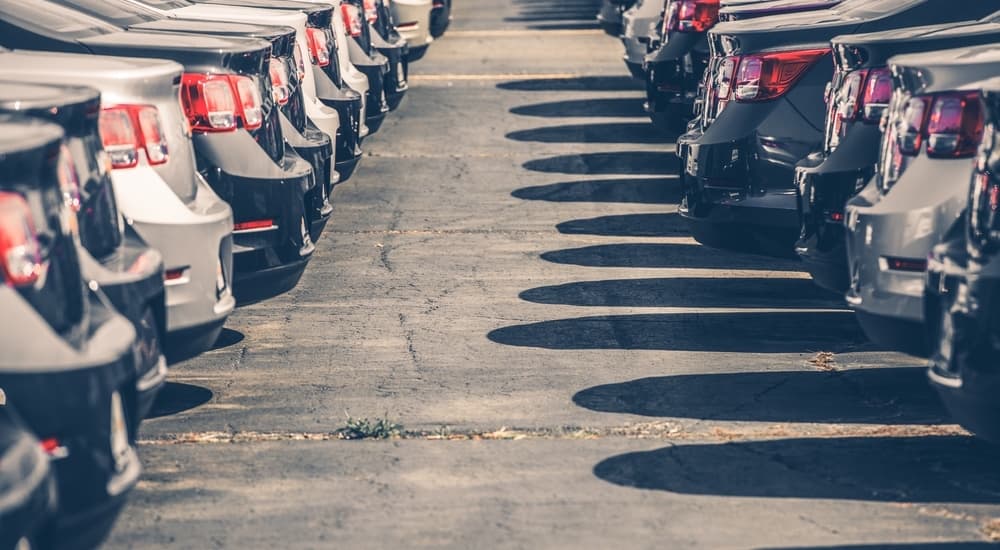 The back ends of two rows of cars at a used car dealer near me are shown.