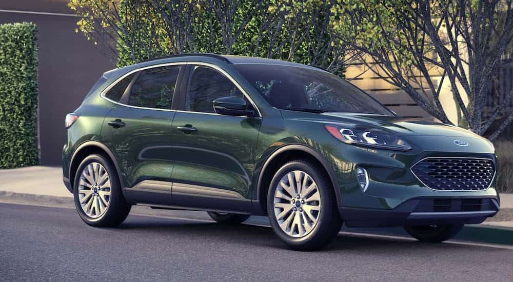 A green 2020 Ford Escape is parked on the side of a neighborhood street.