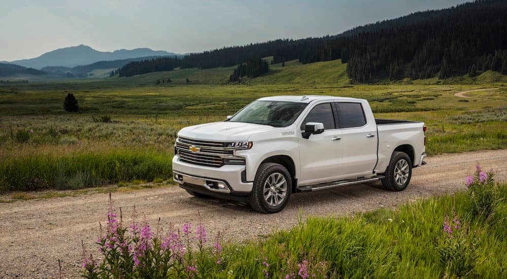 A white 2019 Chevy Silverado is parked grass lined dirt road is shown.