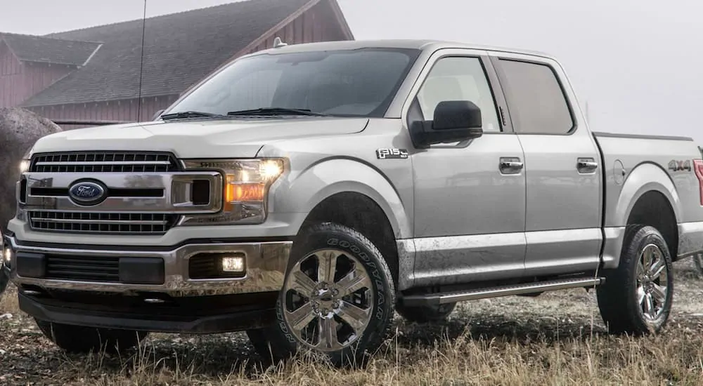 A silver 2019 F-150, which is close when comparing the 2019 Chevrolet Silverado 1500 vs 2019 Ford F-150, is parked on a farm.