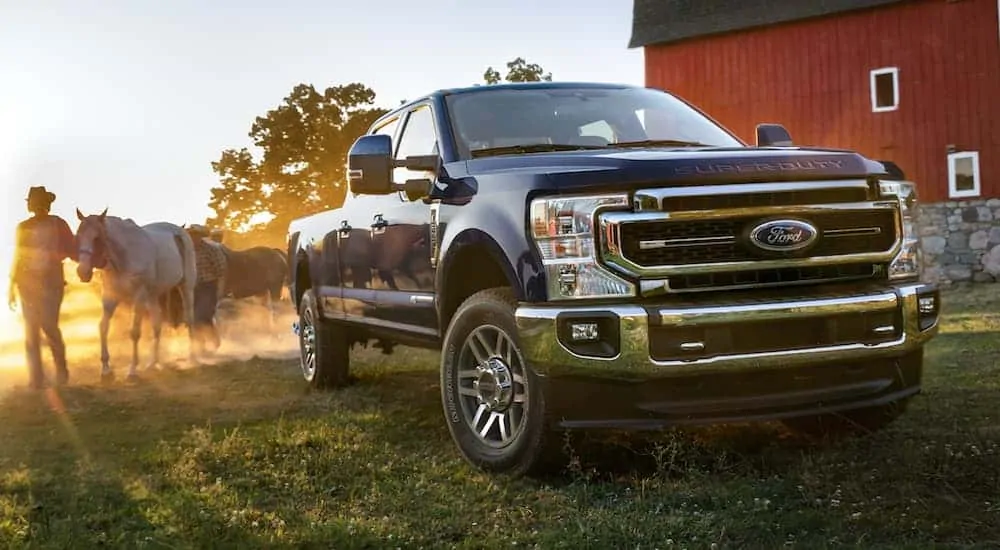 A blue 2020 Ford Super Duty is parked next to a barn with horses walking by it in a sun glare.