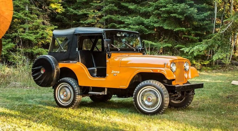 An orange Jeep CJ-5 is parked on grass next to a treelined forest. 
