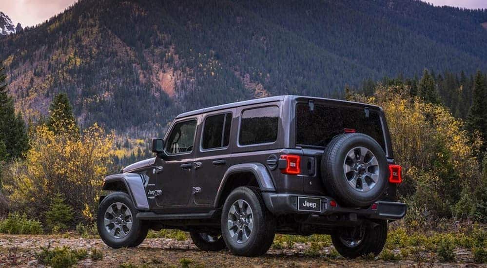 A grey 2020 Jeep Wrangler Unlimited is parked on a dirt trail with mountains in the distance. 