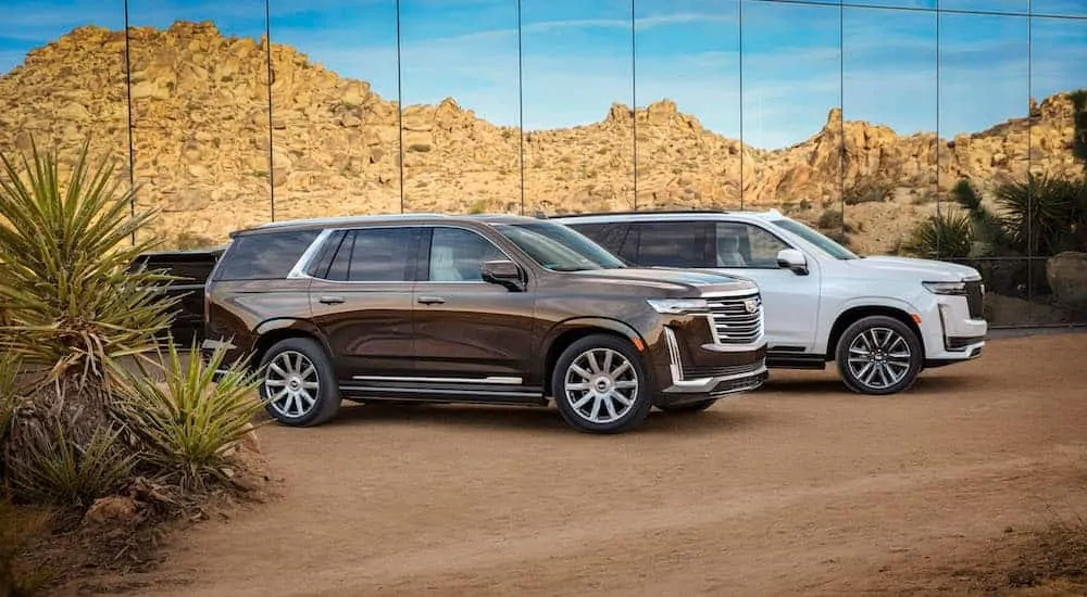 Two 2021 Cadillac Escalades, one brown and one white, are parked in the desert with mountains in the distance. 