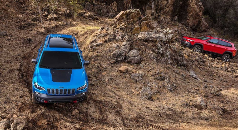 A blue and a red 2020 Jeep Cherokee climb dirt trails in a forest after leaving a Jeep Dealership Near Me