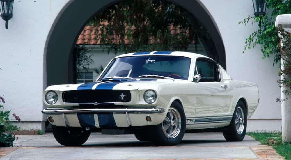 A white 1965 Ford Mustang Shelby GT350 with blue racing stripes is parked in front of an archway.