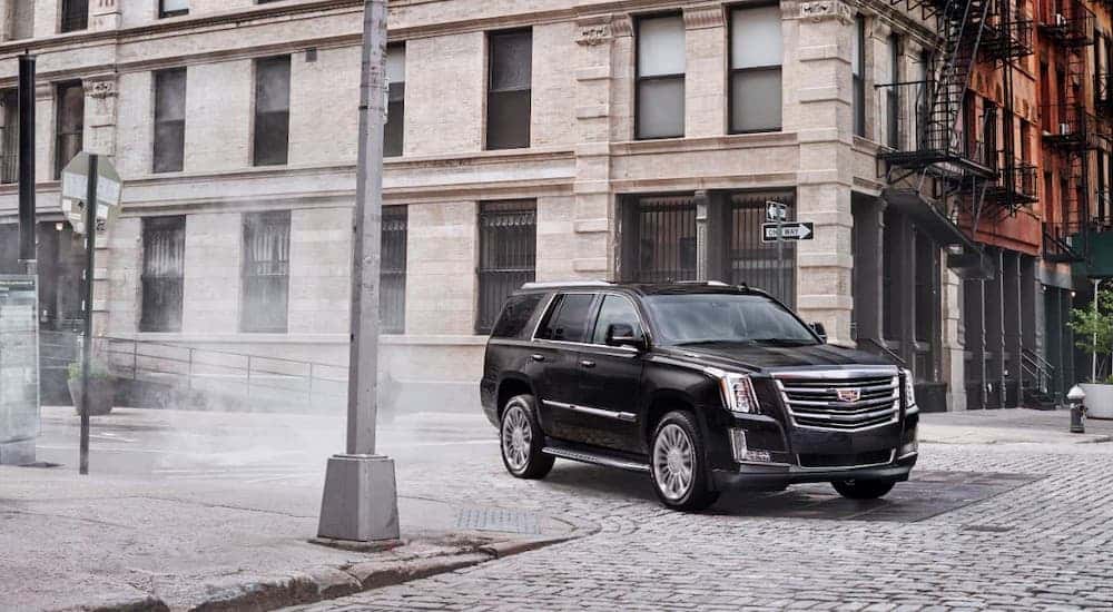 A black 2018 Cadillac Escalade is driving around a city street corner.