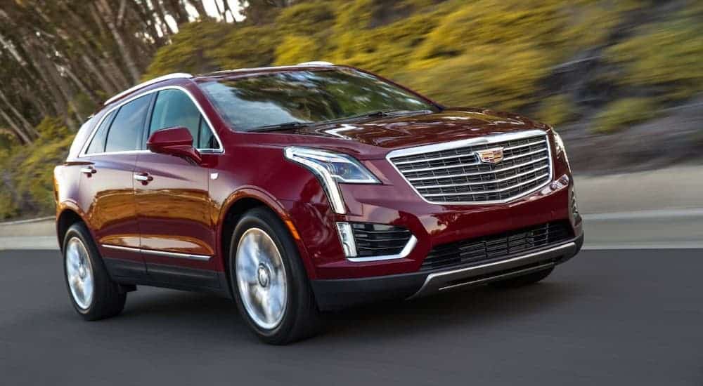 A red 2019 Cadillac Certified Pre-owned XT5 is driving on a tree-lined road