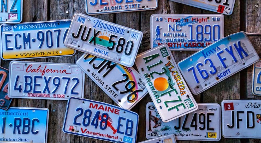 Multiple license plates from around the US are on a wooden wall.