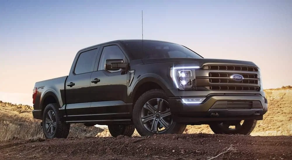 A black 2021 Ford F-150 is parked on dirt.