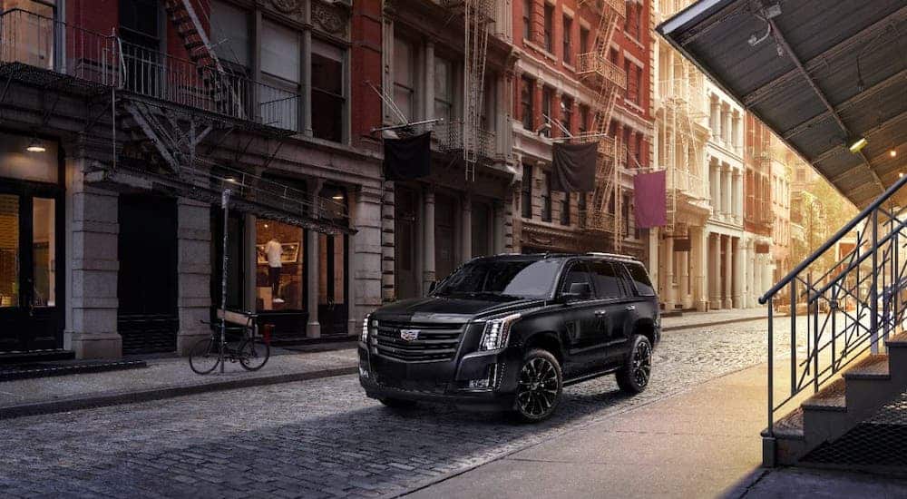 A black 2019 Cadillac Escalade is parked on a city street with cobblestones.