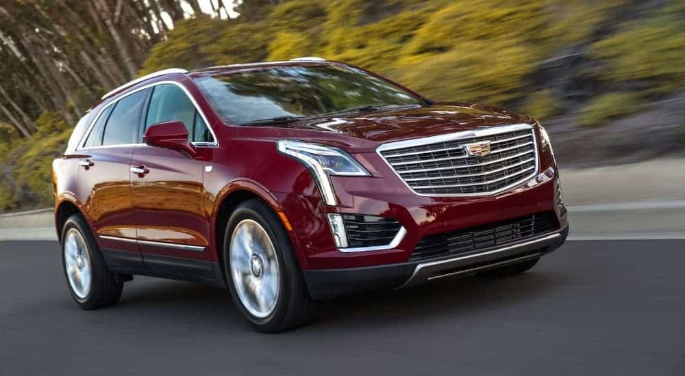A red 2019 Cadillac XT5 is driving on a tree-lined street.