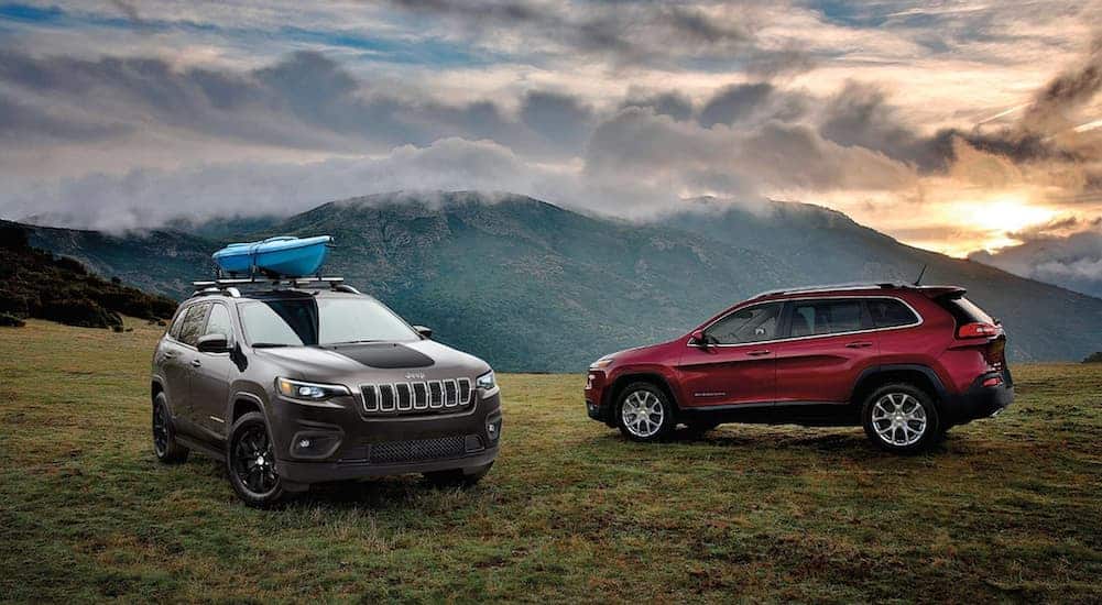 A grey and a red 2020 Jeep Cherokee are parked on grass overlooking mountains.
