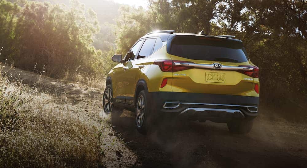 A yellow 2021 Kia Seltos is off-roading on a dirt trail.
