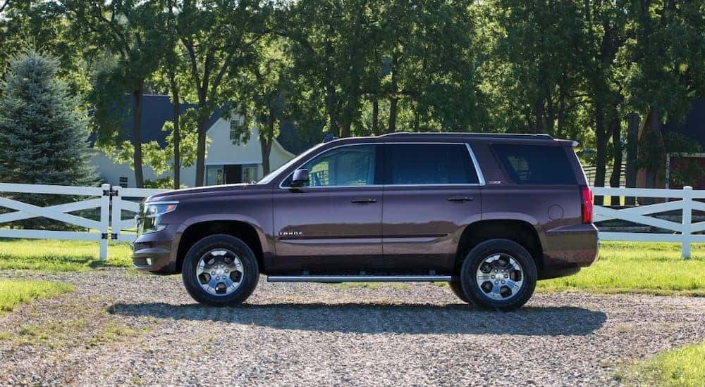 A purple 2016 Chevy Tahoe is parked in front of a white fence at a farm.