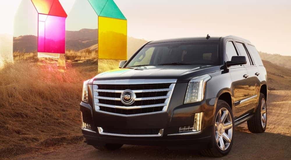 A black 2015 used Cadillac Escalade is parked next to a colorful art installation.