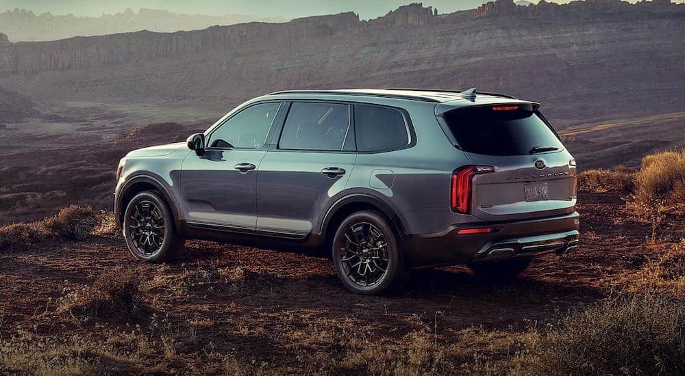 A silver 2021 Kia Telluride is parked overlooking a view of rock formations.