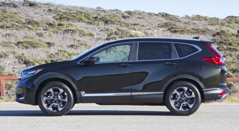 A blue 2019 used Honda CRV is shown in a profile view parked near some scrub grass.