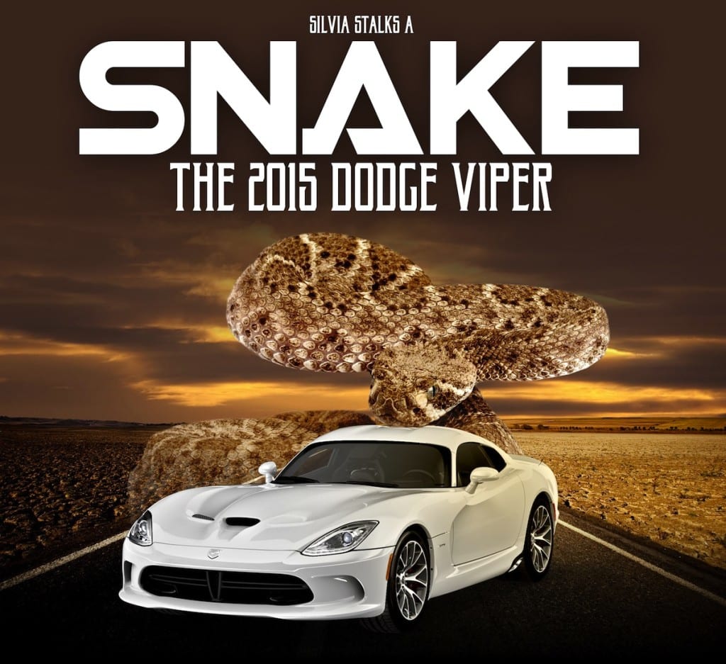 Silvia Stalks a Snake, The 2015 Dodge Viper