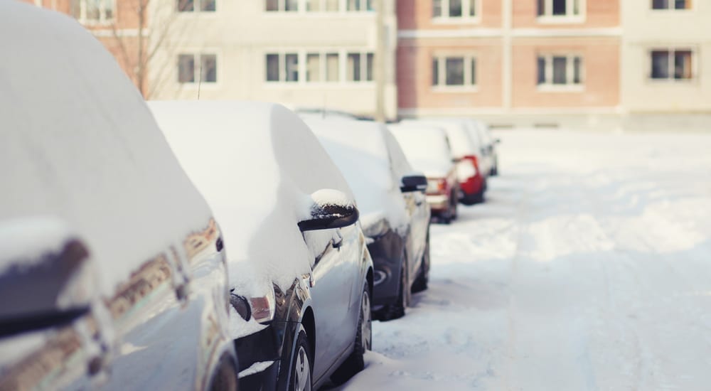 Cars in Snow