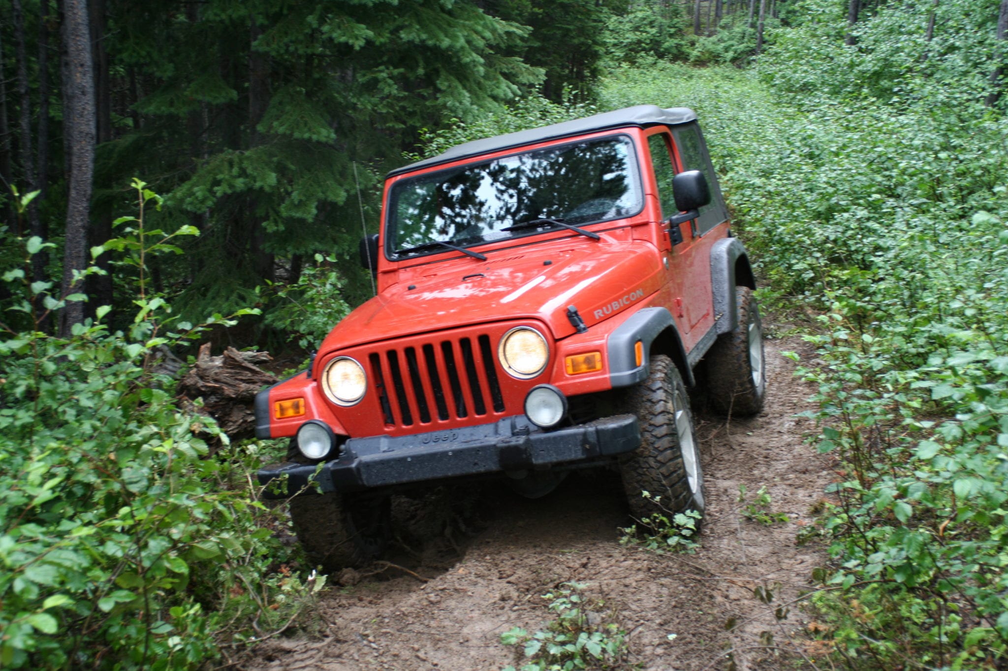 Our Favorite All-Time Jeep Wrangler Trims and Models - AutoInfluence