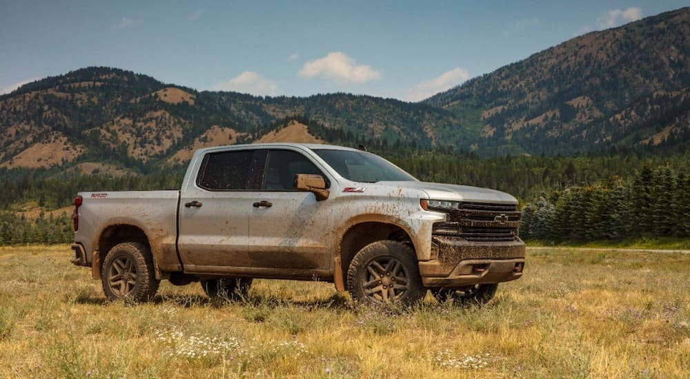 A light colored 2019 Chevy Silverado 1500 is muddy in a field.