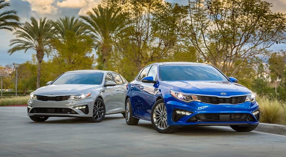 A silver and a blue 2019 Kia Optima are parked in front of palm trees.