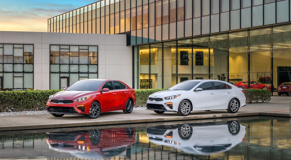 A red and a white 2019 Kia Forte are parked outside of a dealership. Find yours by searching 'Kia dealership near me'.