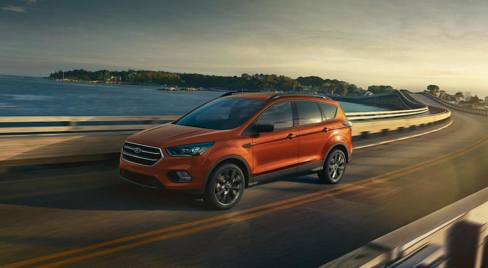 An orange 2019 Ford Escape is driving down a highway with a city in the background.