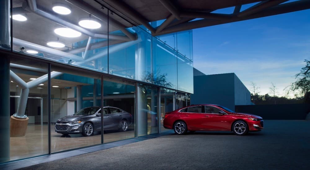 A red 2019 Chevy Malibu parked in front of a glass window.