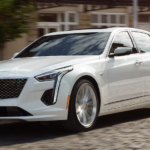 A white 2019 Cadillac CT6 is on a cobblestone street.