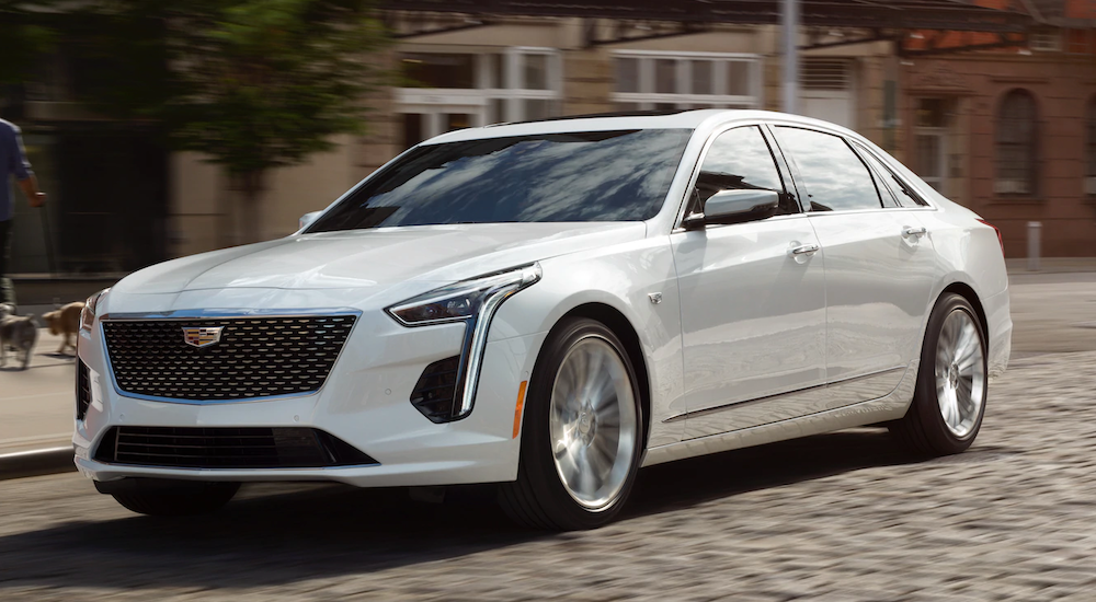 A white 2019 Cadillac CT6 is on a cobblestone street.