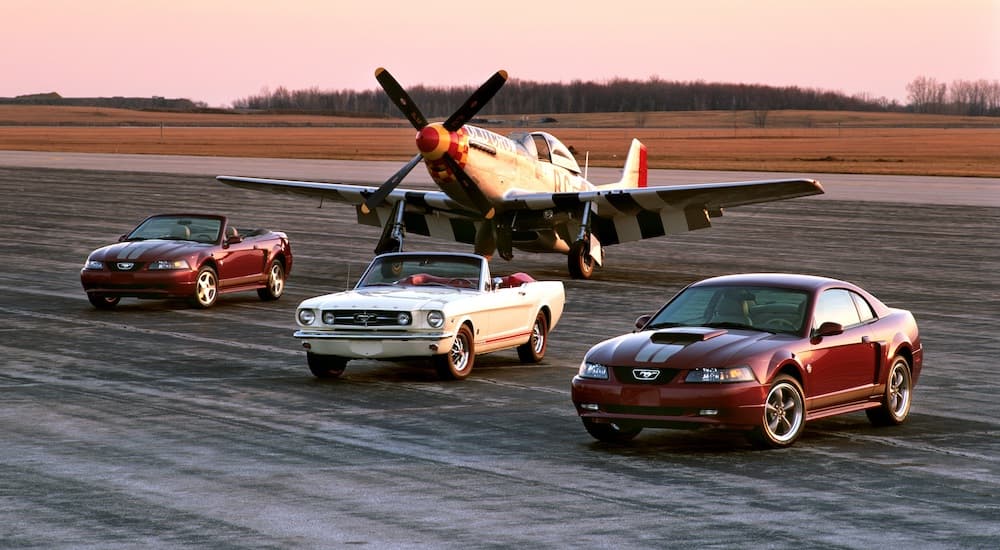 A white 1965 Ford Mustang is between two red 2004 Mustangs in front of a P-51.