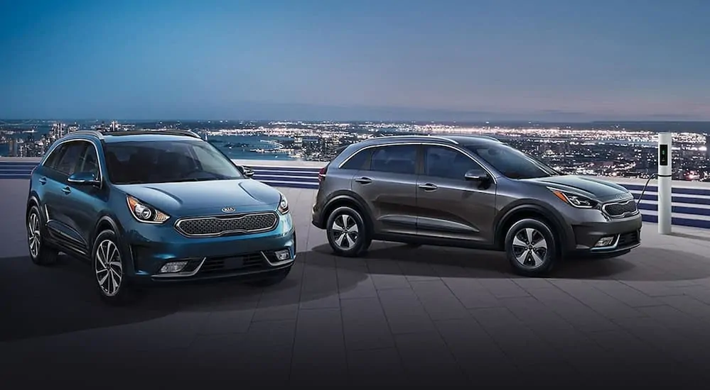Two 2019 Kia Niro's are parked on a roof top parking lot at night with city lights in the background.