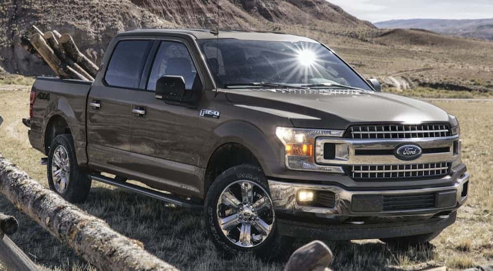 A grey 2020 Ford F-150 is parked in a grassy field with mountains in the background.