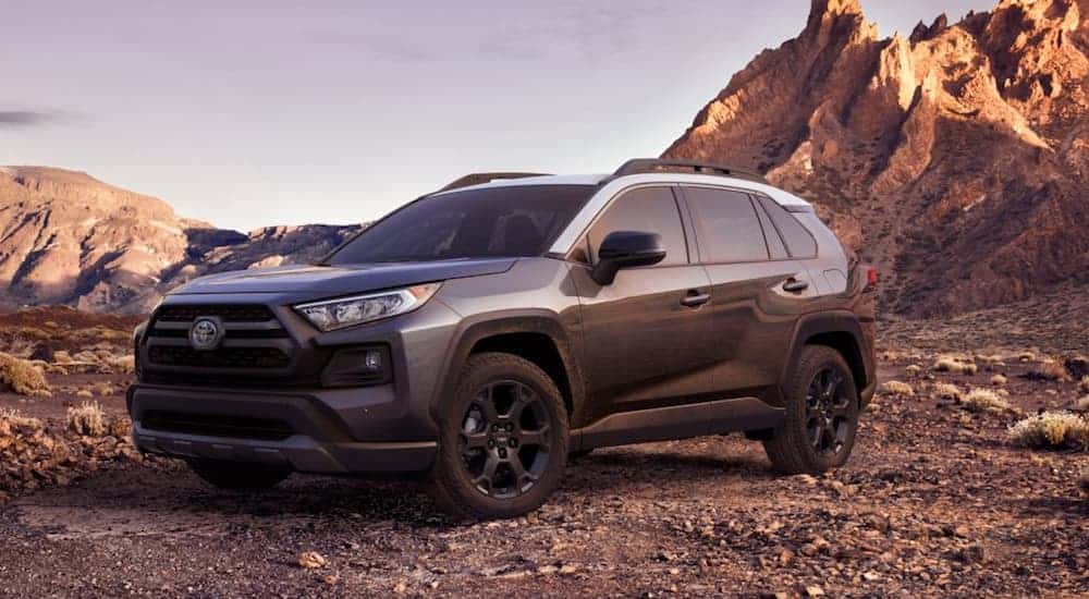 A grey 2020 Toyota RAV4 is parked on a dirt trail with mountains in the distance.