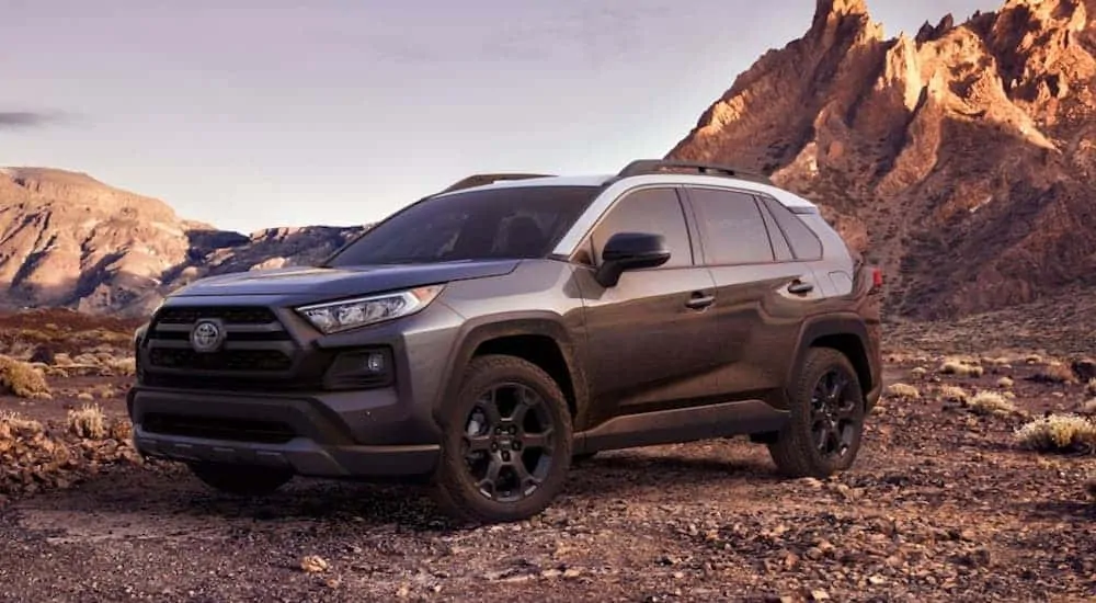 Everything You Need to Know About the Brand New 2020 Toyota RAV4