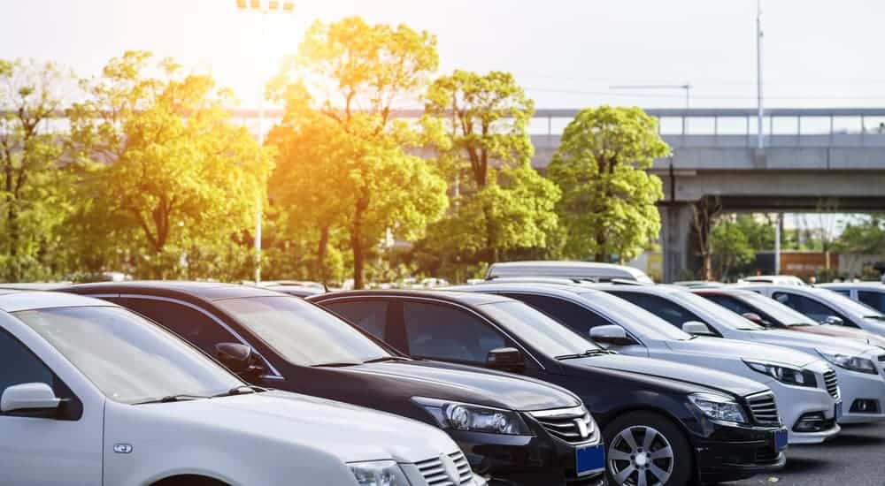 A row of used cars for sale are parked at a used car lot with a sun glare.