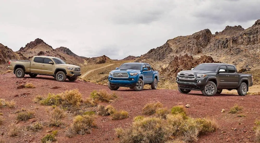 Three 2017 Toyota Tacoma's, a blue, brown, and grey colored, are parked on a dirt trail in the desert.