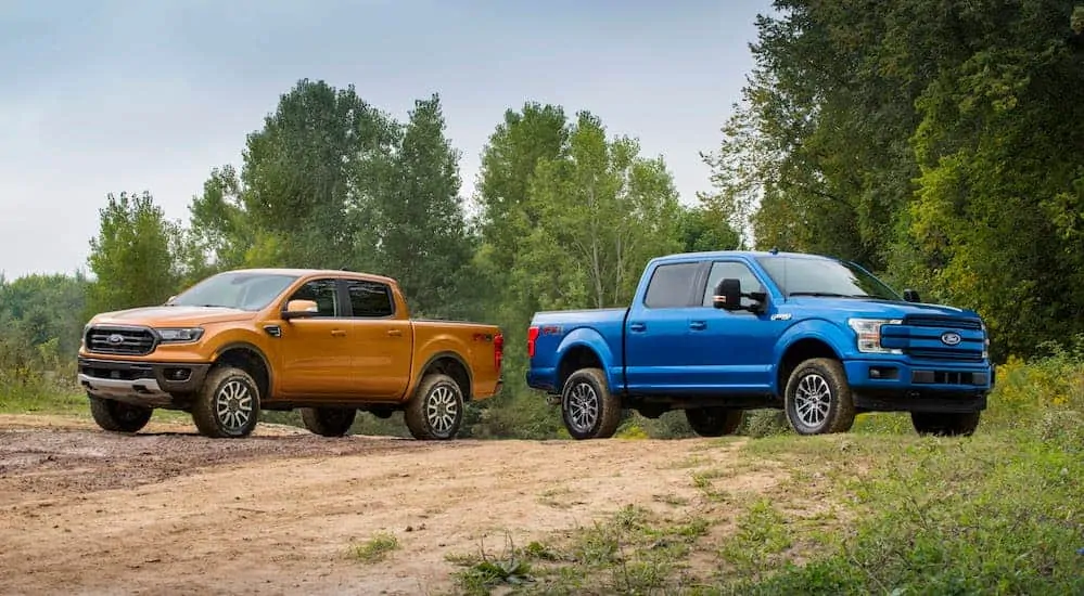 An orange 2019 Ranger and 2019 Ford F-150 are parked on a grass lined dirt path.