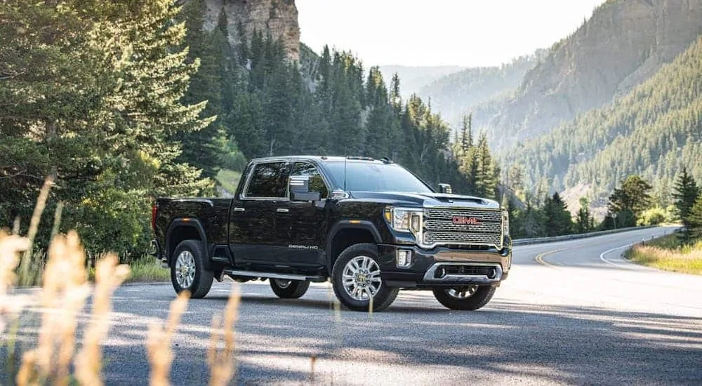 A black 2020 GMC Dealer HD Denali is parked on a woodland highway.