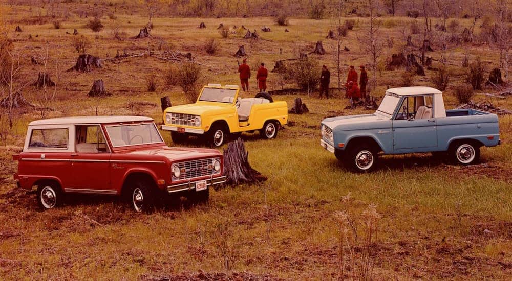 A red, yellow, and a blue 1969 Ford Bronco are parked off-road.