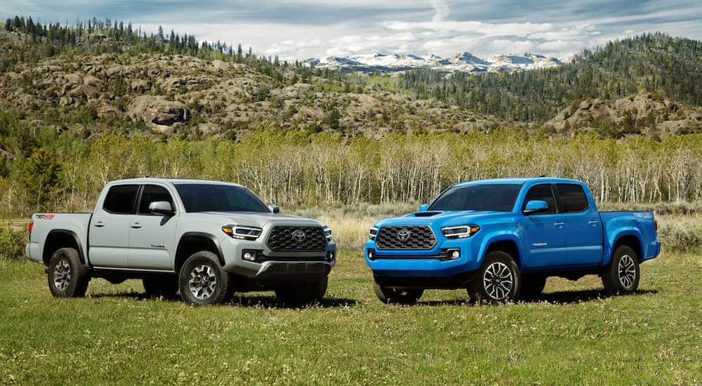 A grey 2020 Toyota Tacoma is parked next to a blue one with hills in the distance.