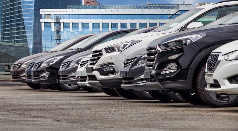 A row of used cars for sale is shown.