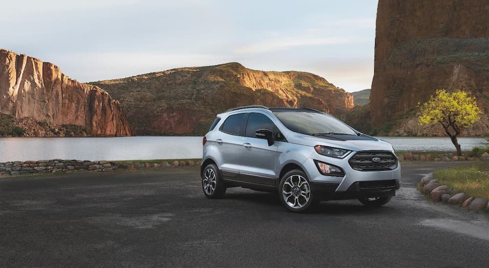 A silver 2020 Ford EcoSport is parked in front of a desert oasis.